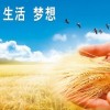 第十五届中国国际农产品交易会