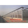 温室专业设计及建造 常年承接温室工程 青州阳光板温室建造商